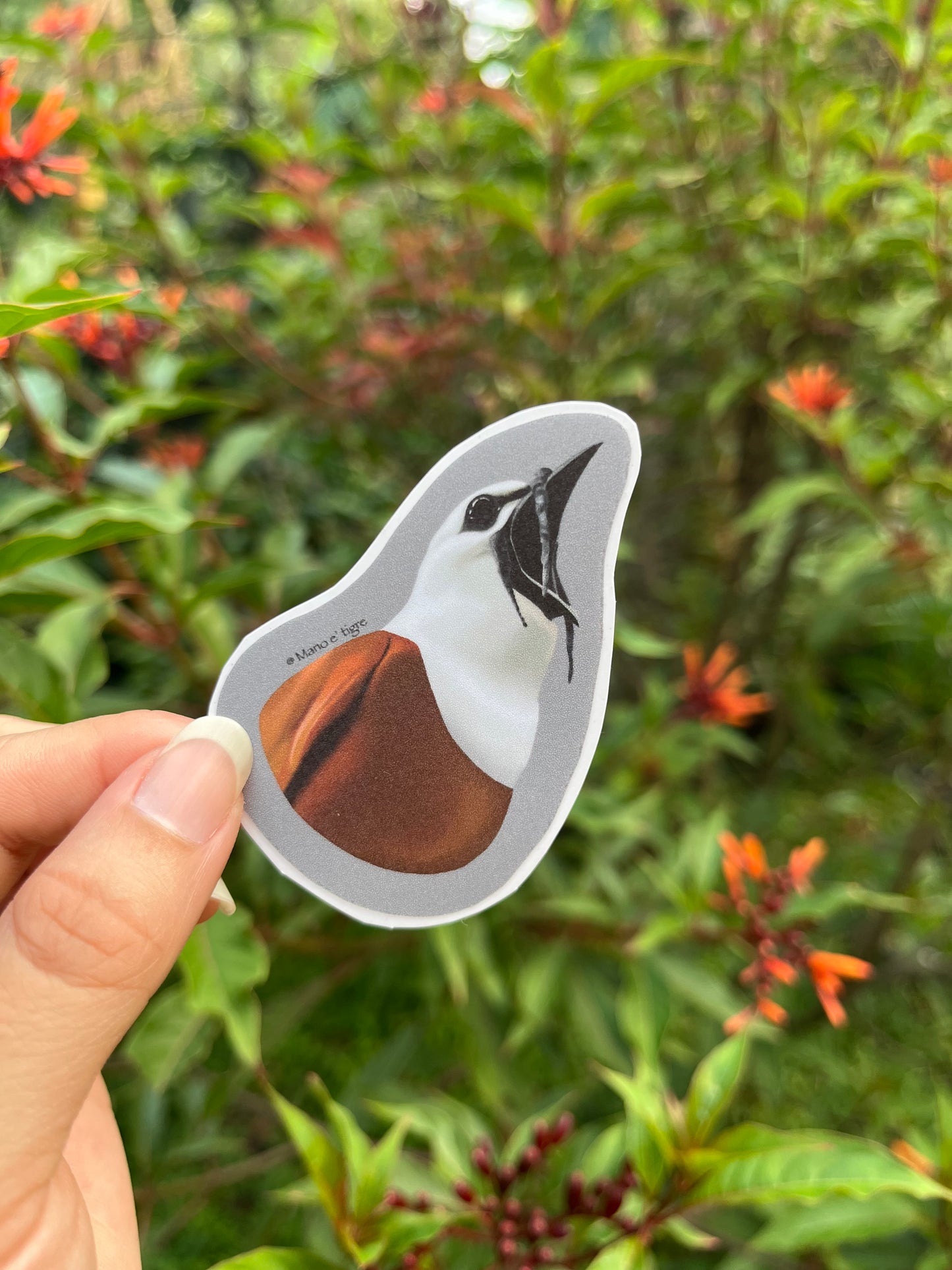 Sticker Pájaro Campana